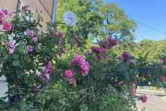 af9934a4-530a-4c48-aab1-baf996292494