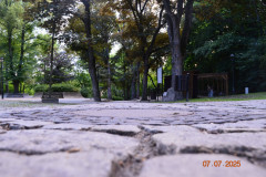 att.m6SLbs1bDH0rcsjOxjtjc3mF_qoL4rQC5_62KpD37Wo