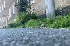 de46bae0-9435-4c28-9f4e-f67e44c190f3