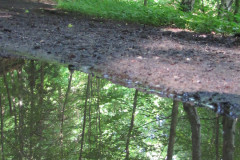 domin-Walbrzyskie-szlaki-przyszloscia-jest-turystyka