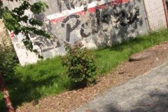 domin0-Nasz-patriotyzm