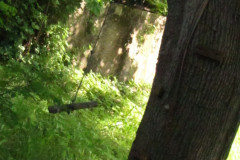 domin3-Pozostalosc-po-nas-Nas-juz-tu-nie-ma