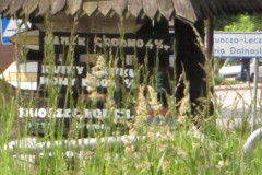 domin7-Bo-wszyscy-chcemy-wiedziec-dokad-isc