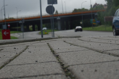 filip-k1-Cale-zycie-na-ulicy