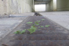 piotr-Natura-wygrywa-ludzi-w-buciorach-brak