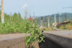 wiktor1-Tych-torow-juz-nie-ma